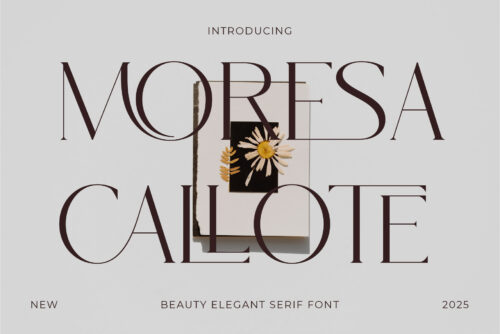 Moresa Callote - Beauty & Elegant Serif Font