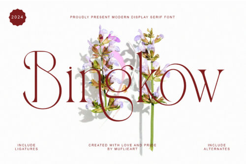 Bingkow - Modern Display Serif Font