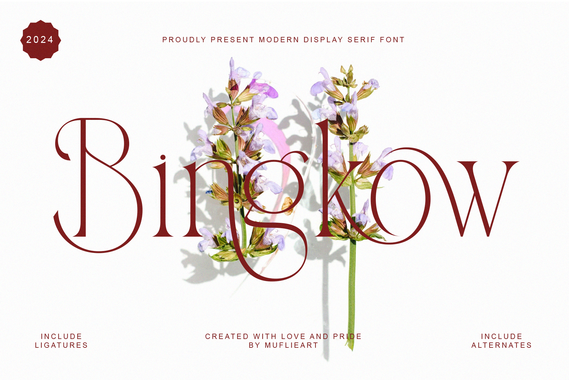 Bingkow - Modern Display Serif Font