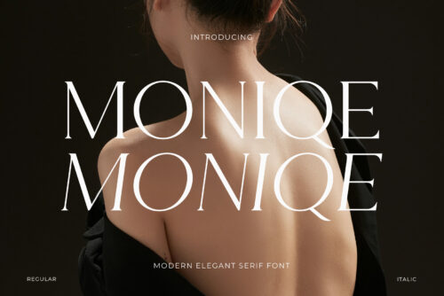 Moniqe - Modern Elegant Serif Font