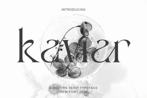 Kaviar - Modern Serif Typeface
