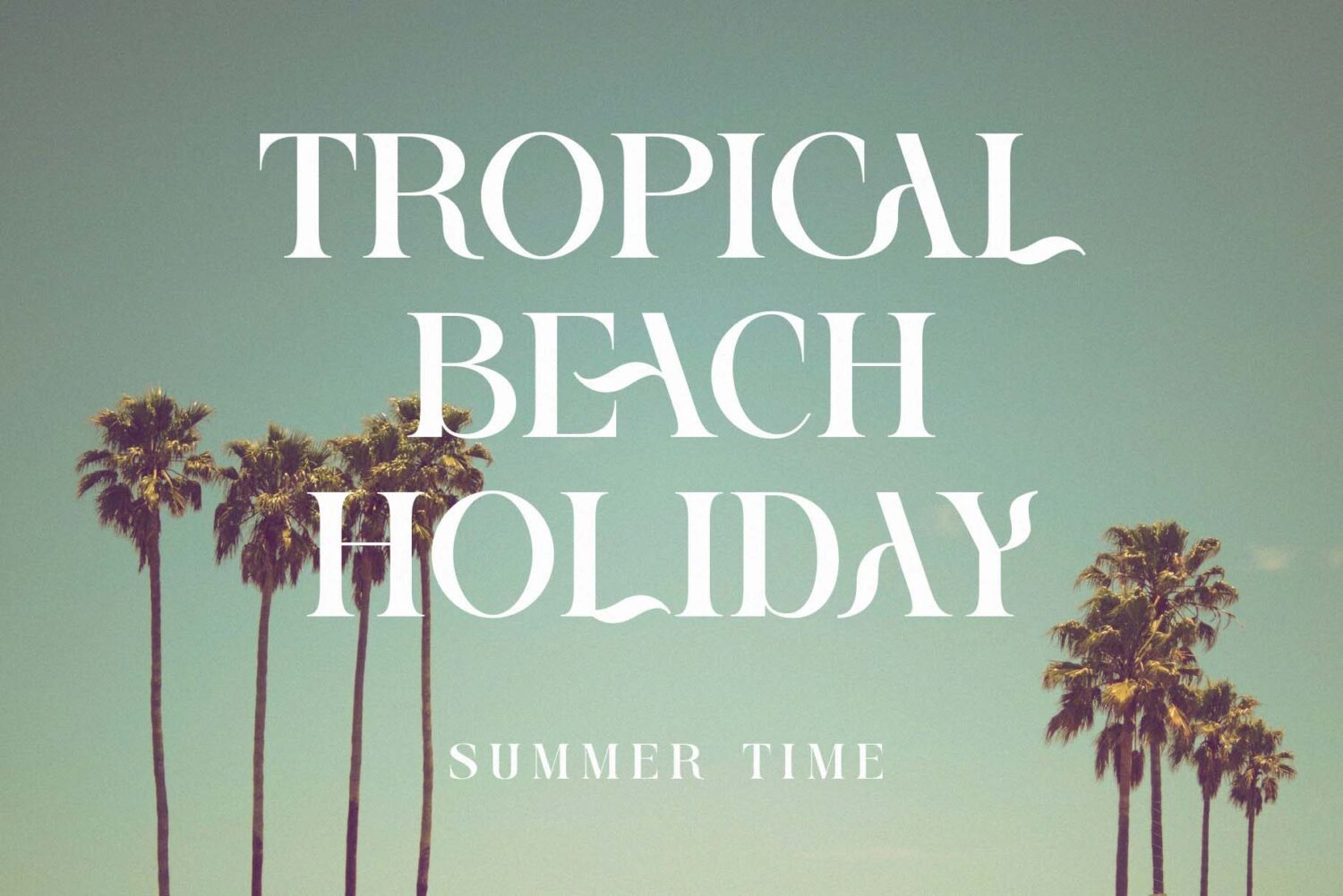 elegant and modern serif font