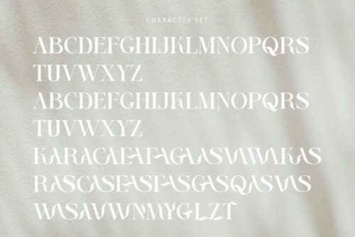 elegant and modern serif font