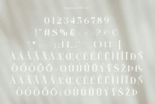 elegant and modern serif font