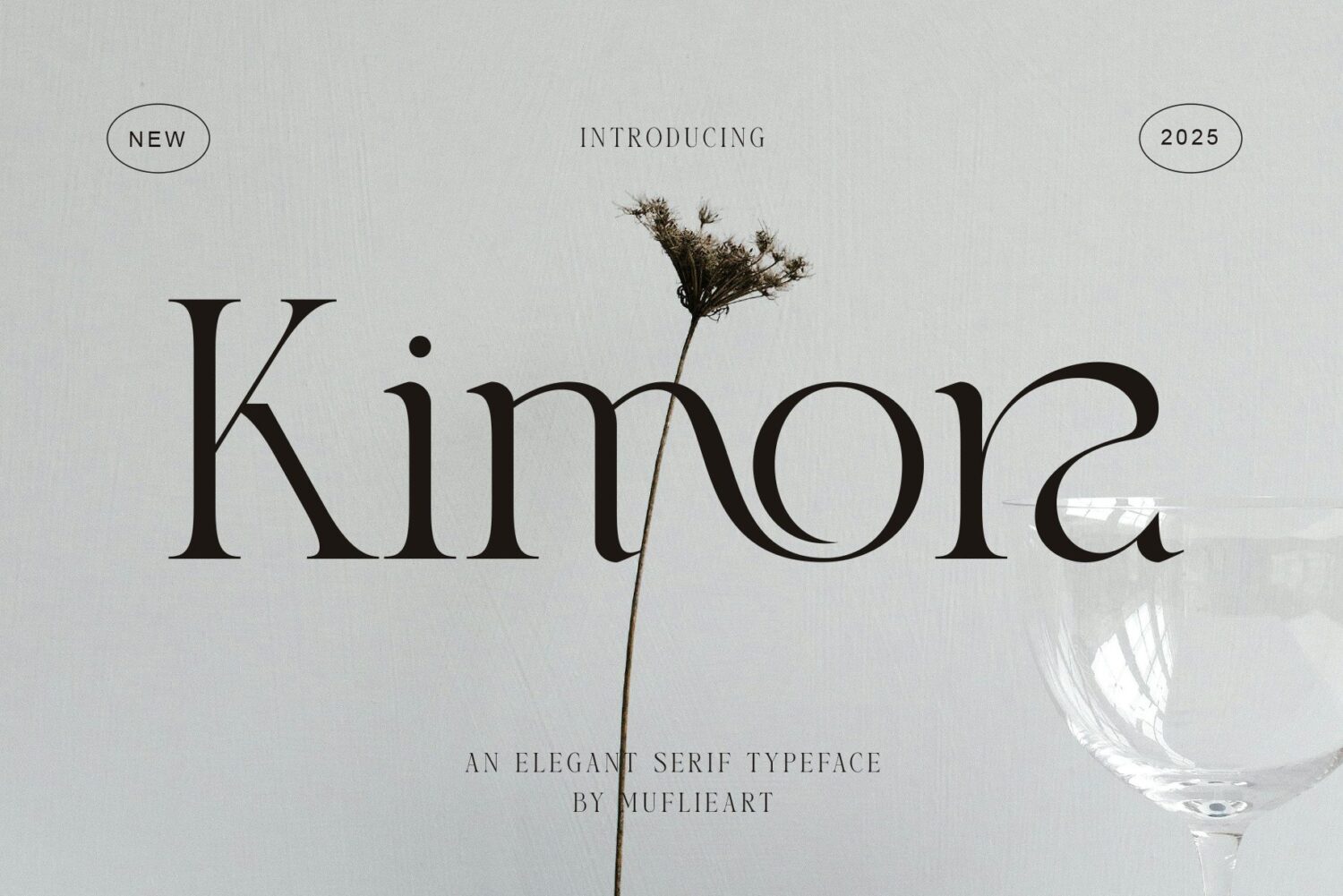 elegant-serif-font