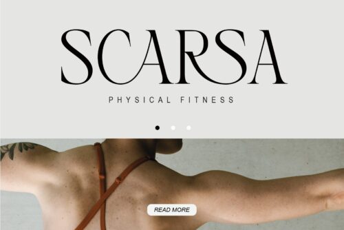 elegant-serif-font
