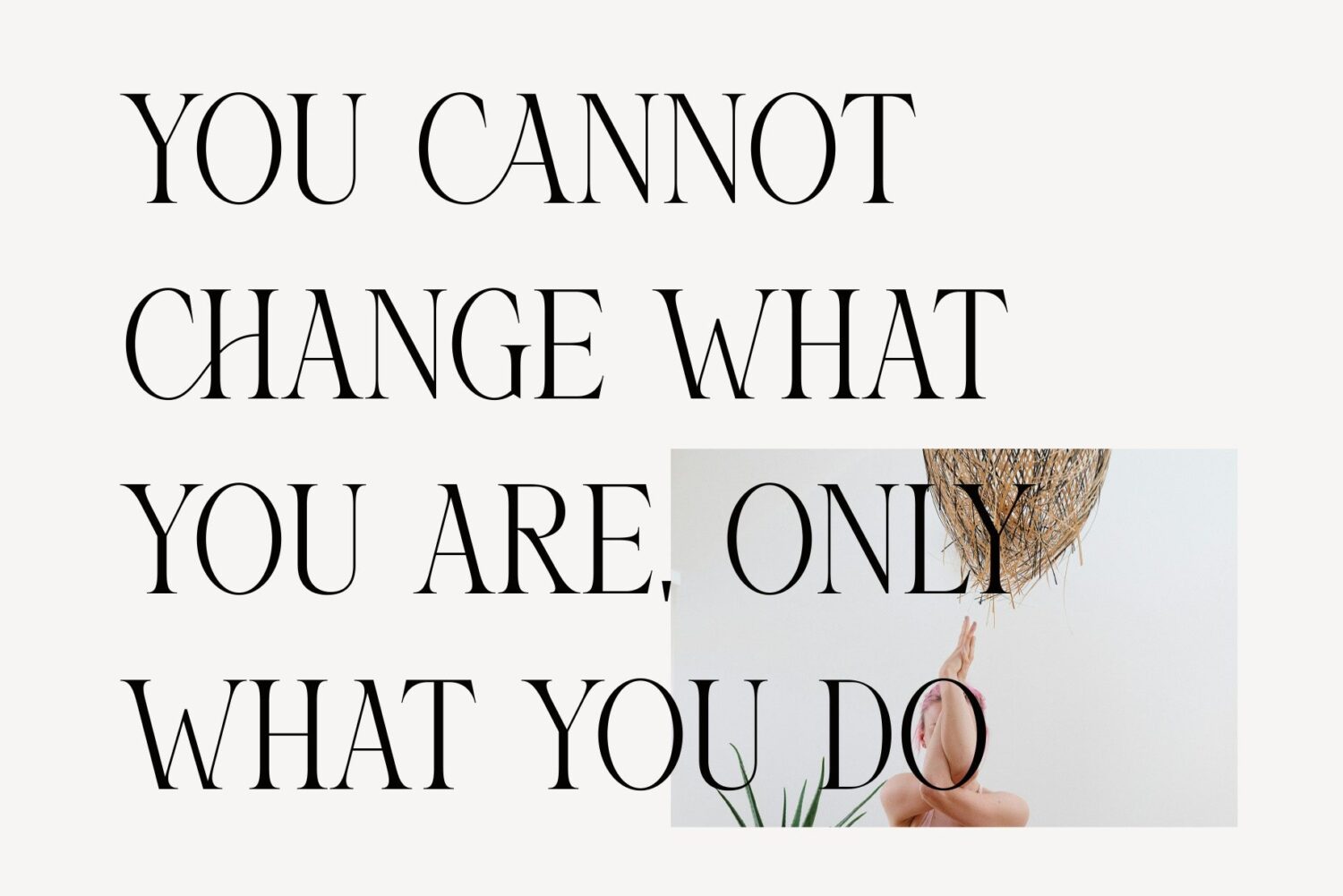 elegant-serif-font