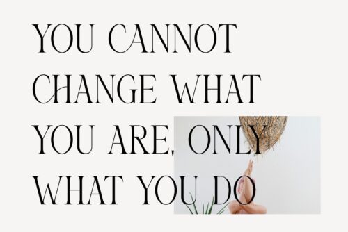 elegant-serif-font