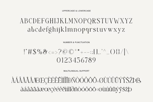 elegant-serif-font