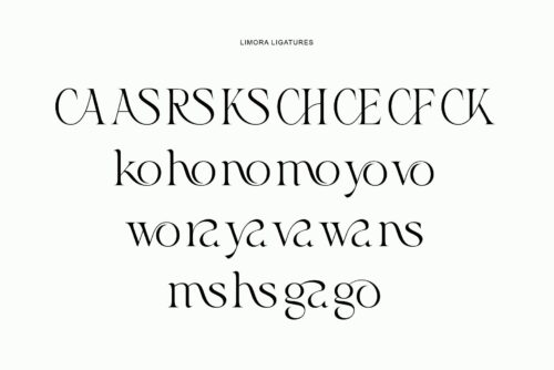 elegant-serif-font