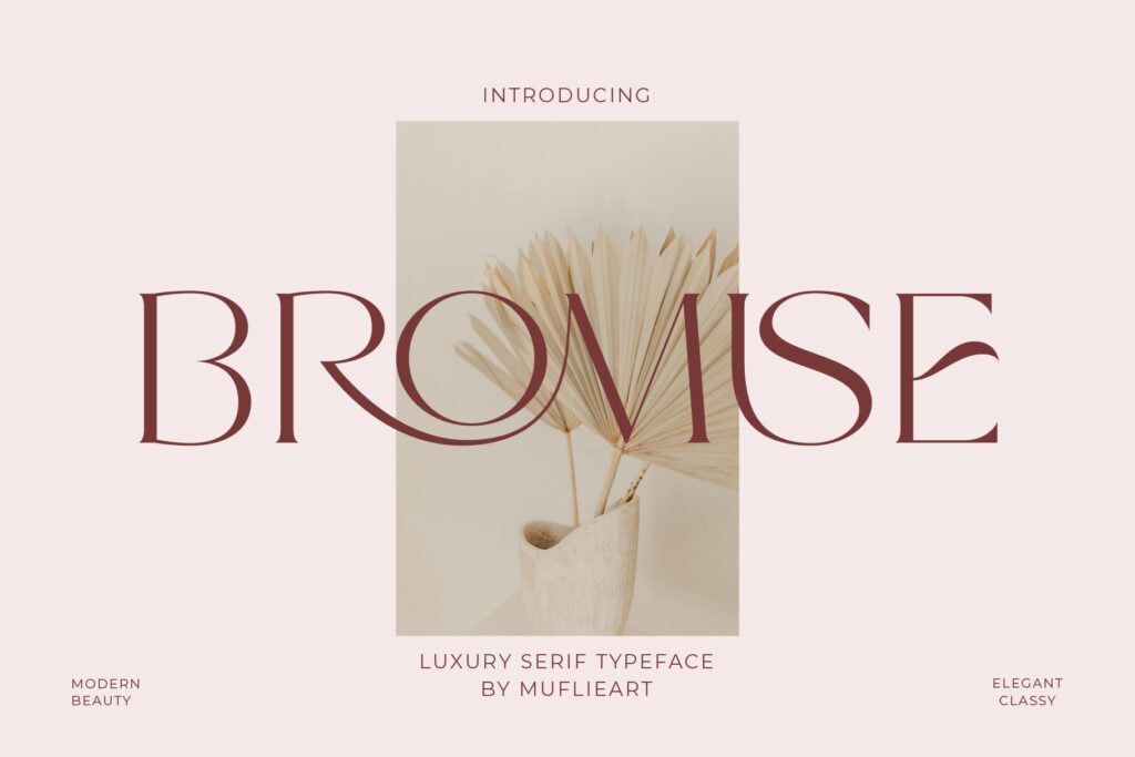modern elegant serif font