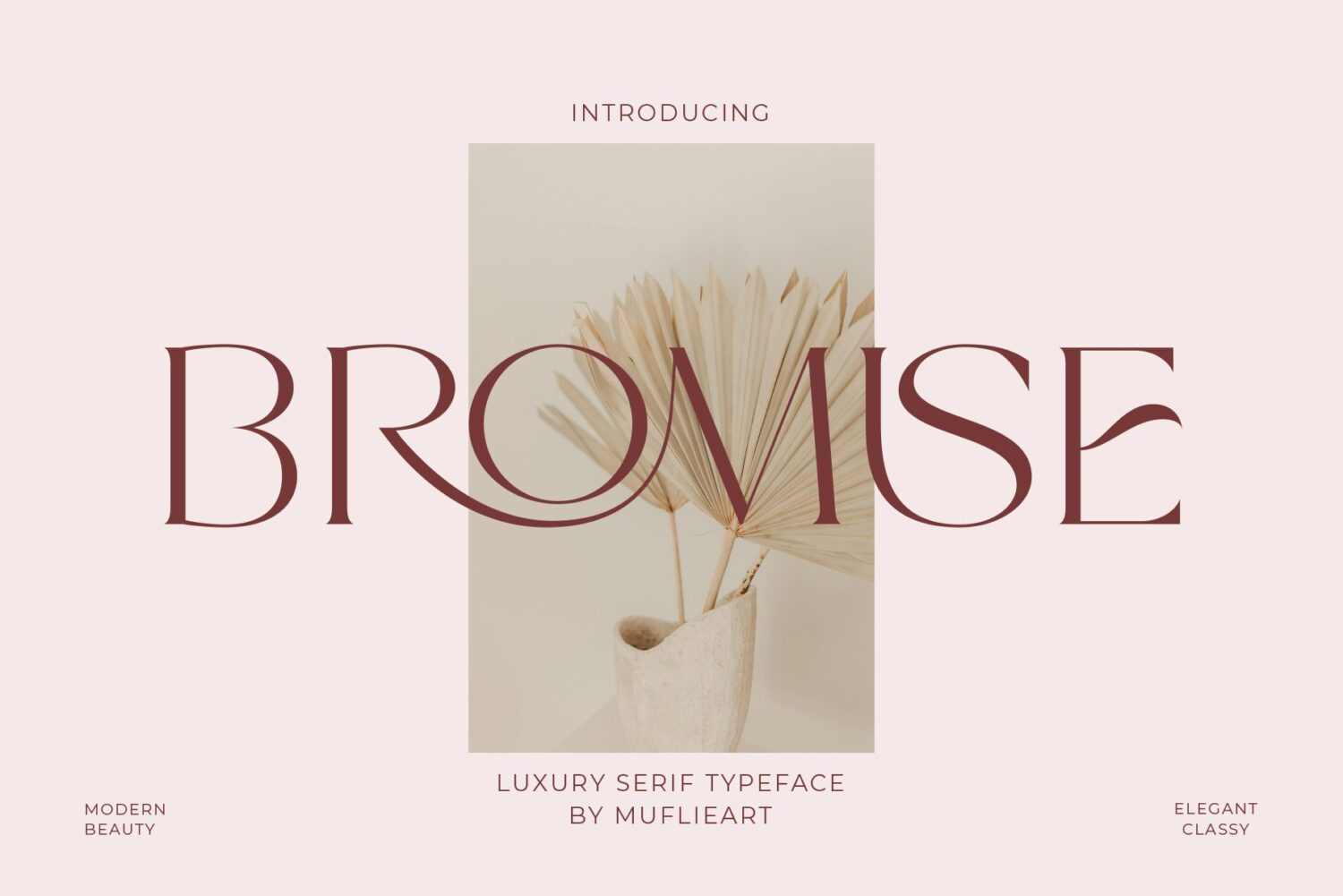 modern elegant serif font