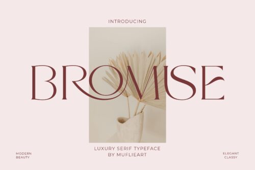 modern elegant serif font