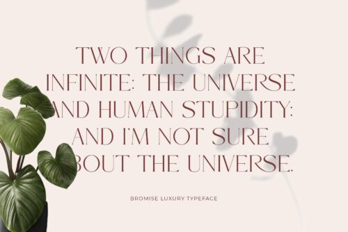 modern elegant serif font