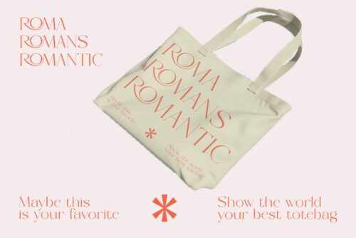 modern elegant serif font