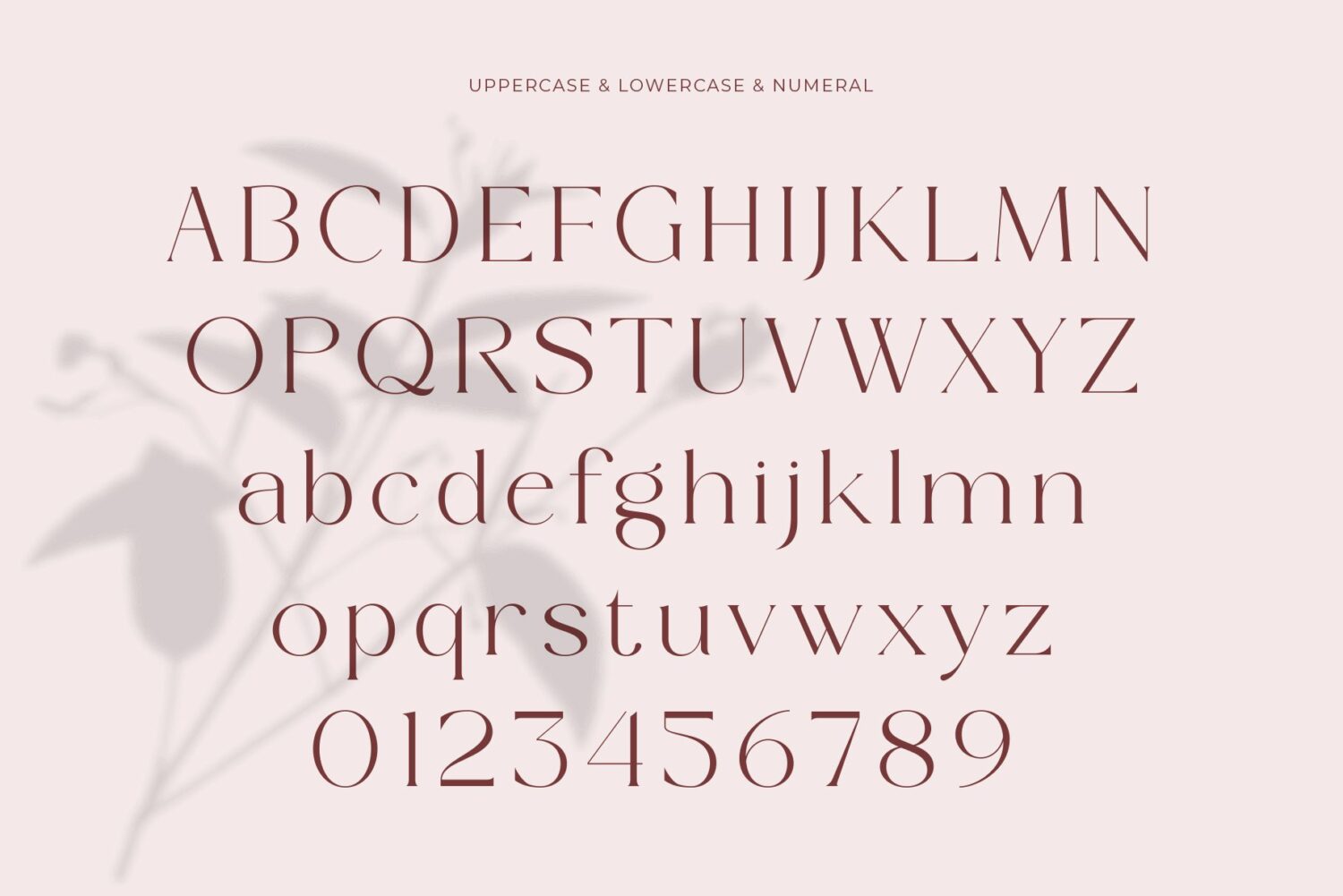 modern elegant serif font