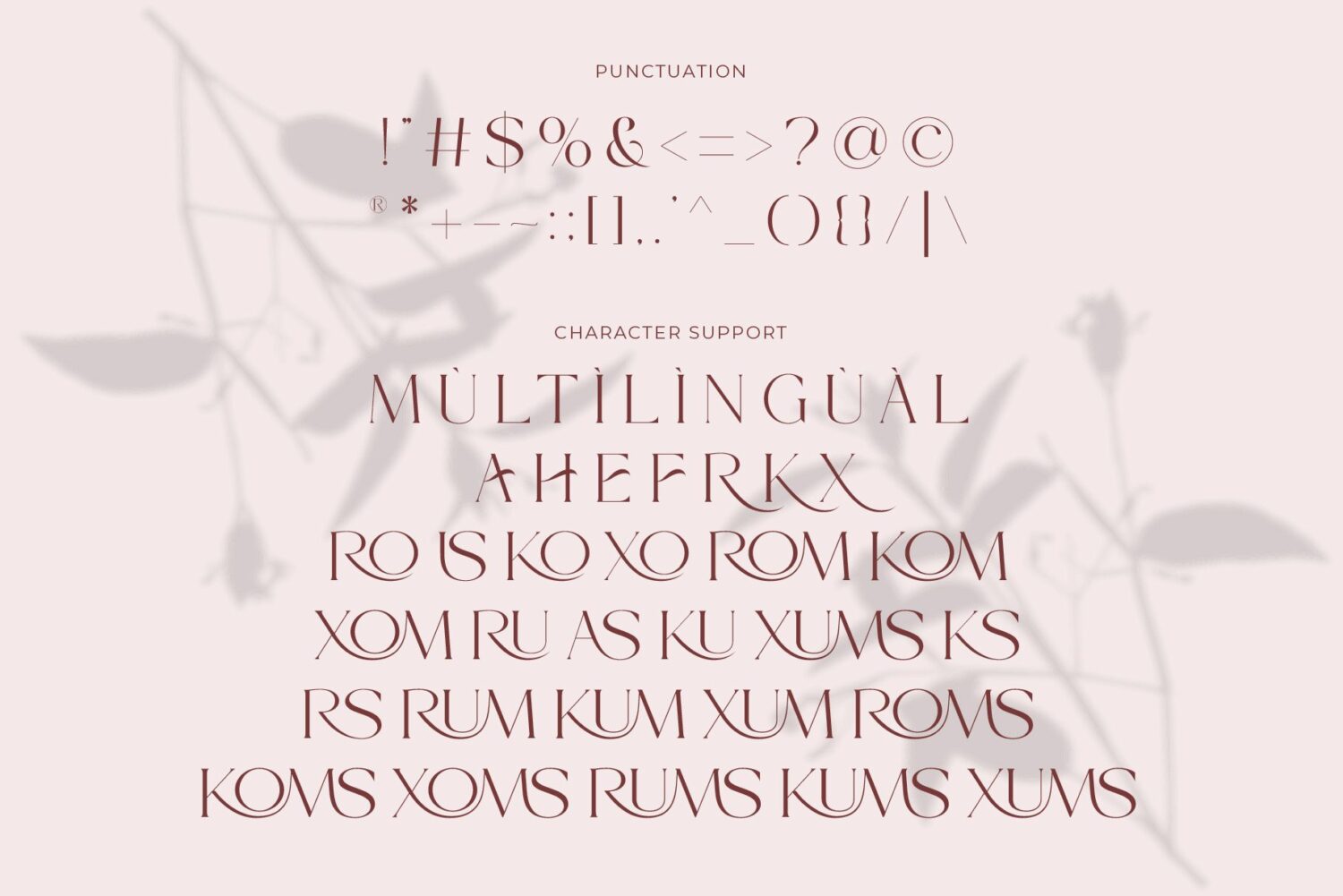 modern elegant serif font