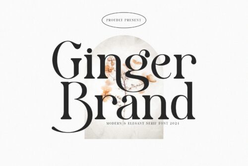 modern elegant serif font