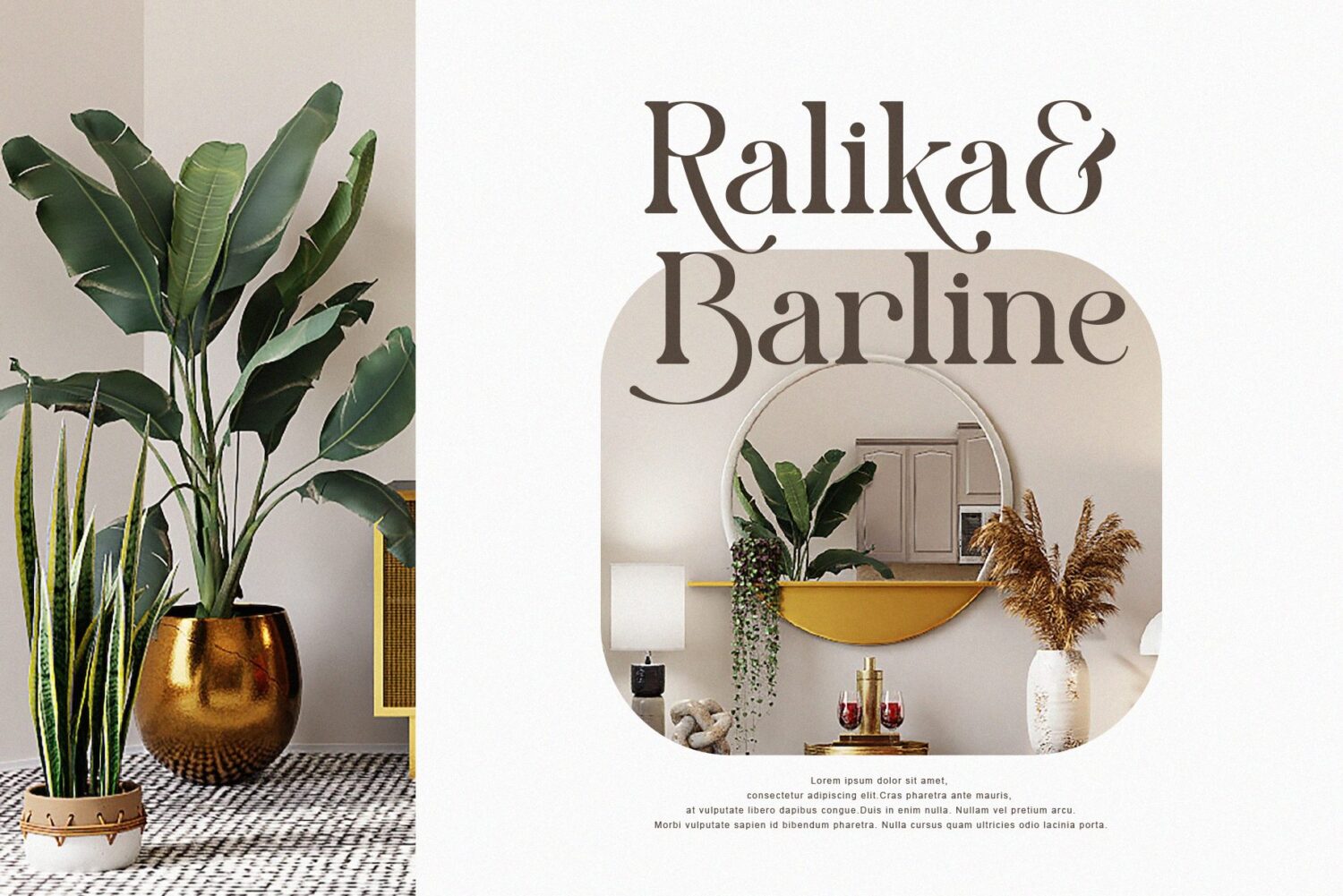 modern elegant serif font