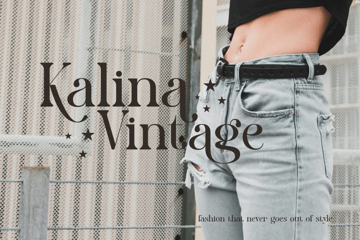 modern elegant serif font