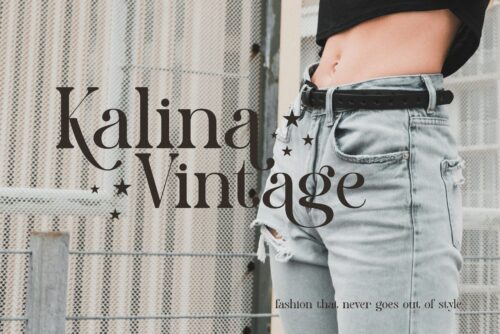 modern elegant serif font