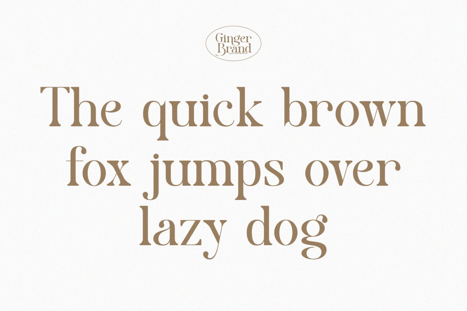 modern elegant serif font