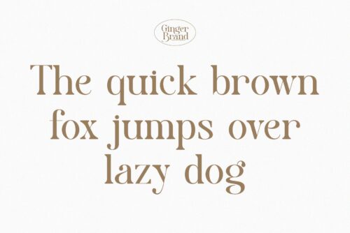 modern elegant serif font