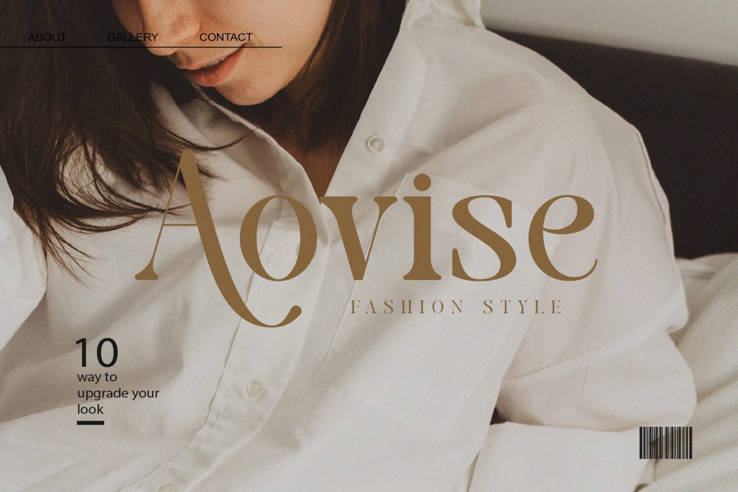 modern elegant serif font