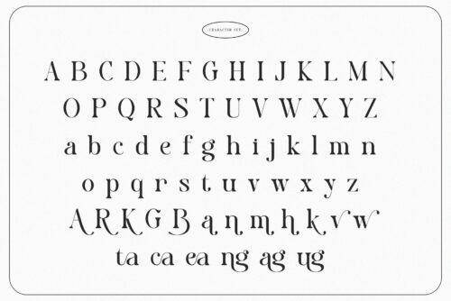 modern elegant serif font