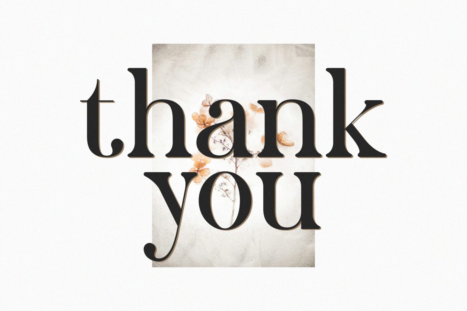 modern elegant serif font