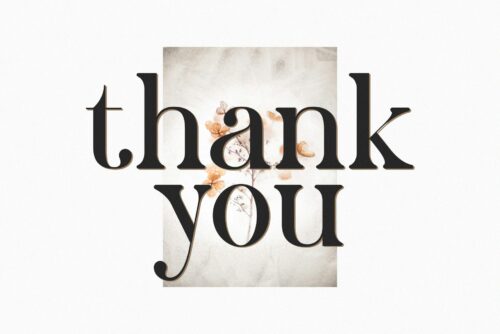 modern elegant serif font