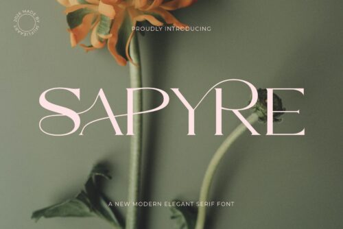 modern elegant serif font