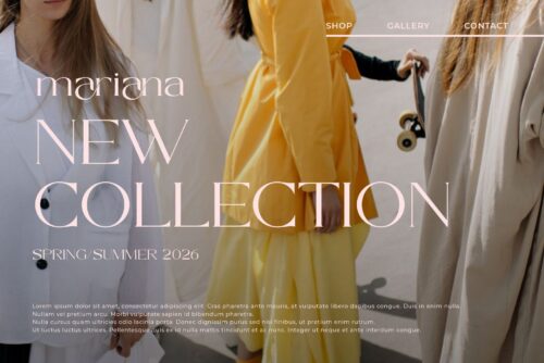 modern elegant serif font
