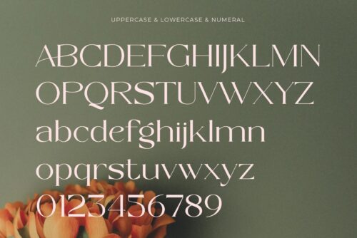 modern elegant serif font