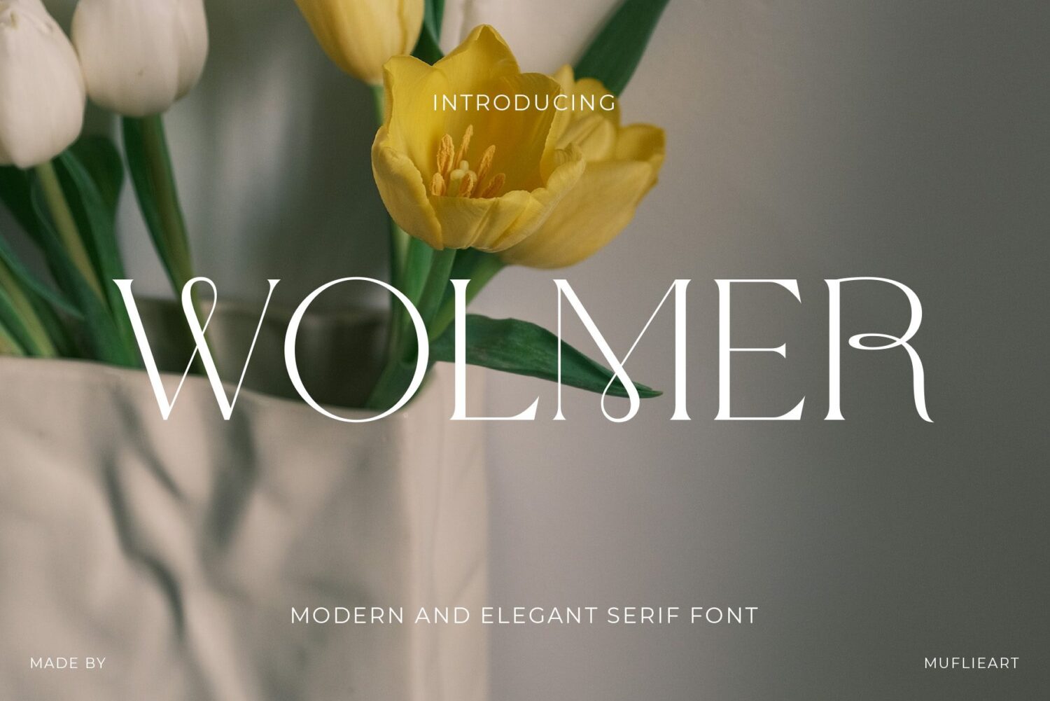 modern elegant serif font