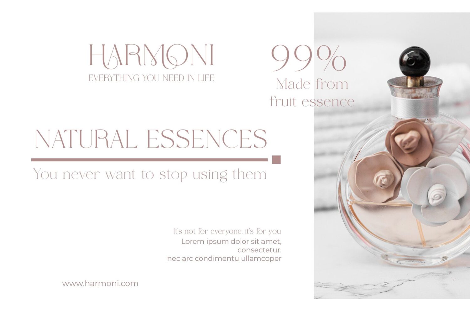 modern elegant serif font