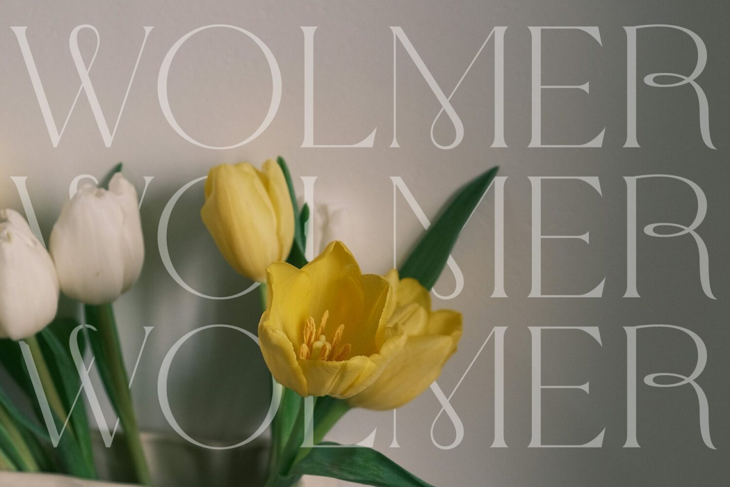 modern elegant serif font