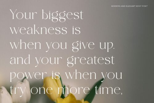 modern elegant serif font