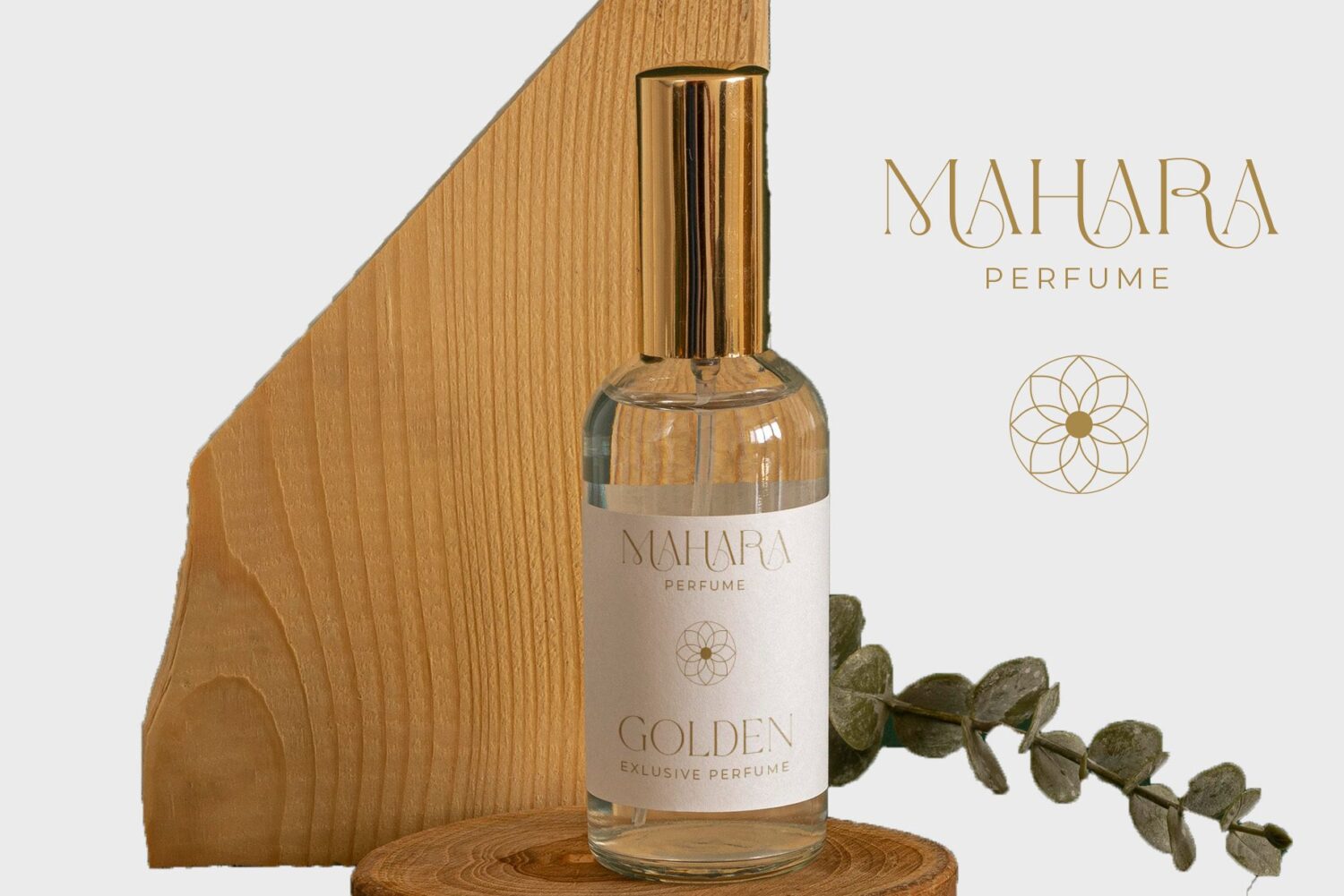 modern elegant serif font