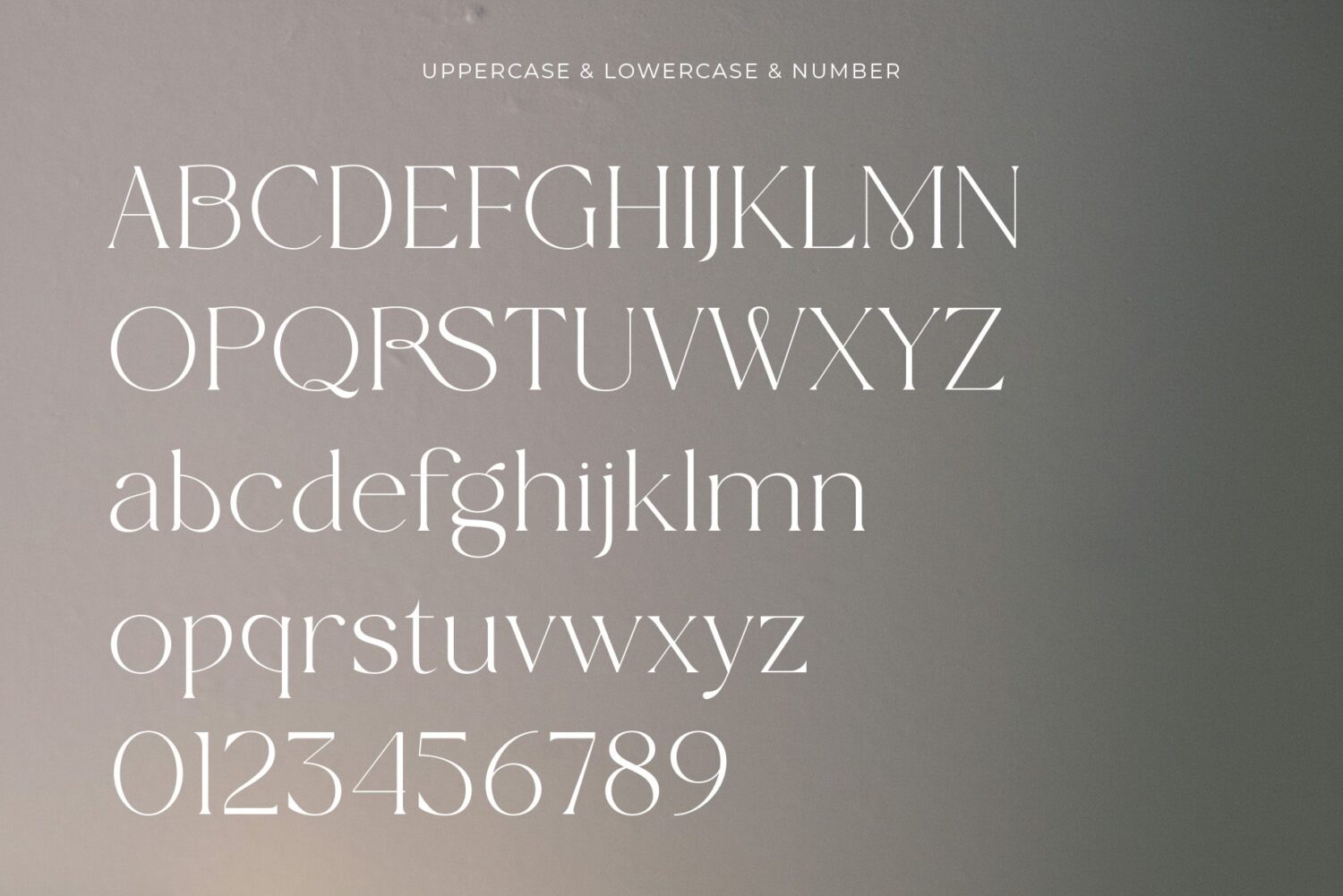 modern elegant serif font