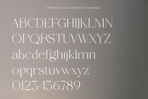 modern elegant serif font