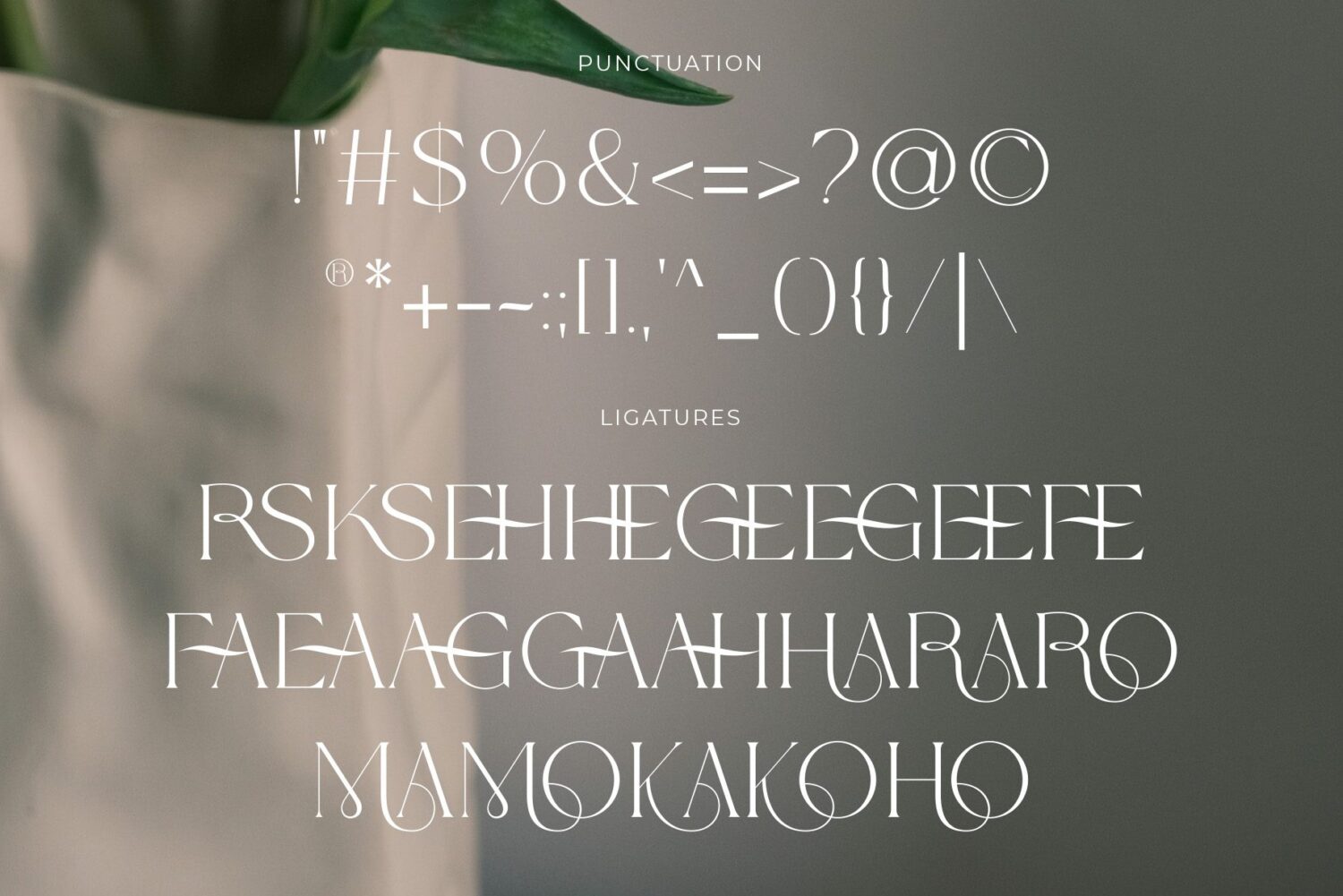 modern elegant serif font