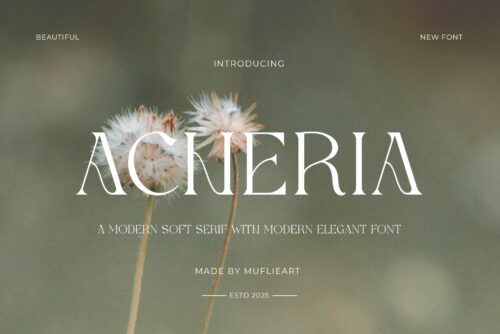 modern soft serif font