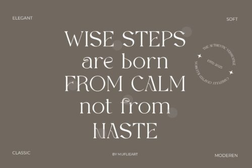 modern soft serif font