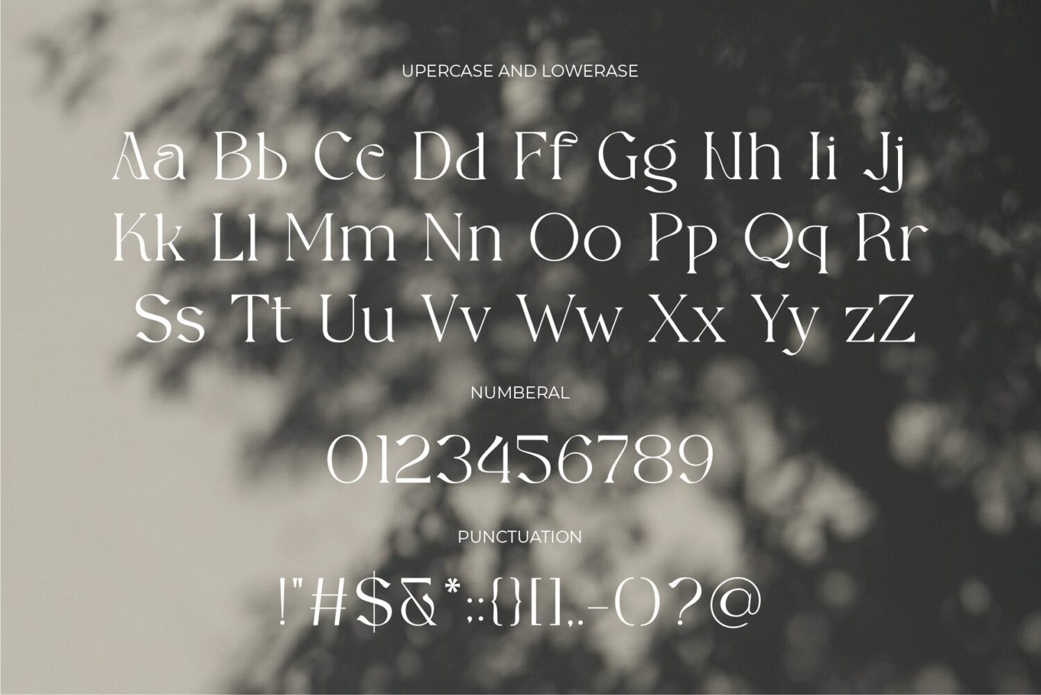 modern soft serif font