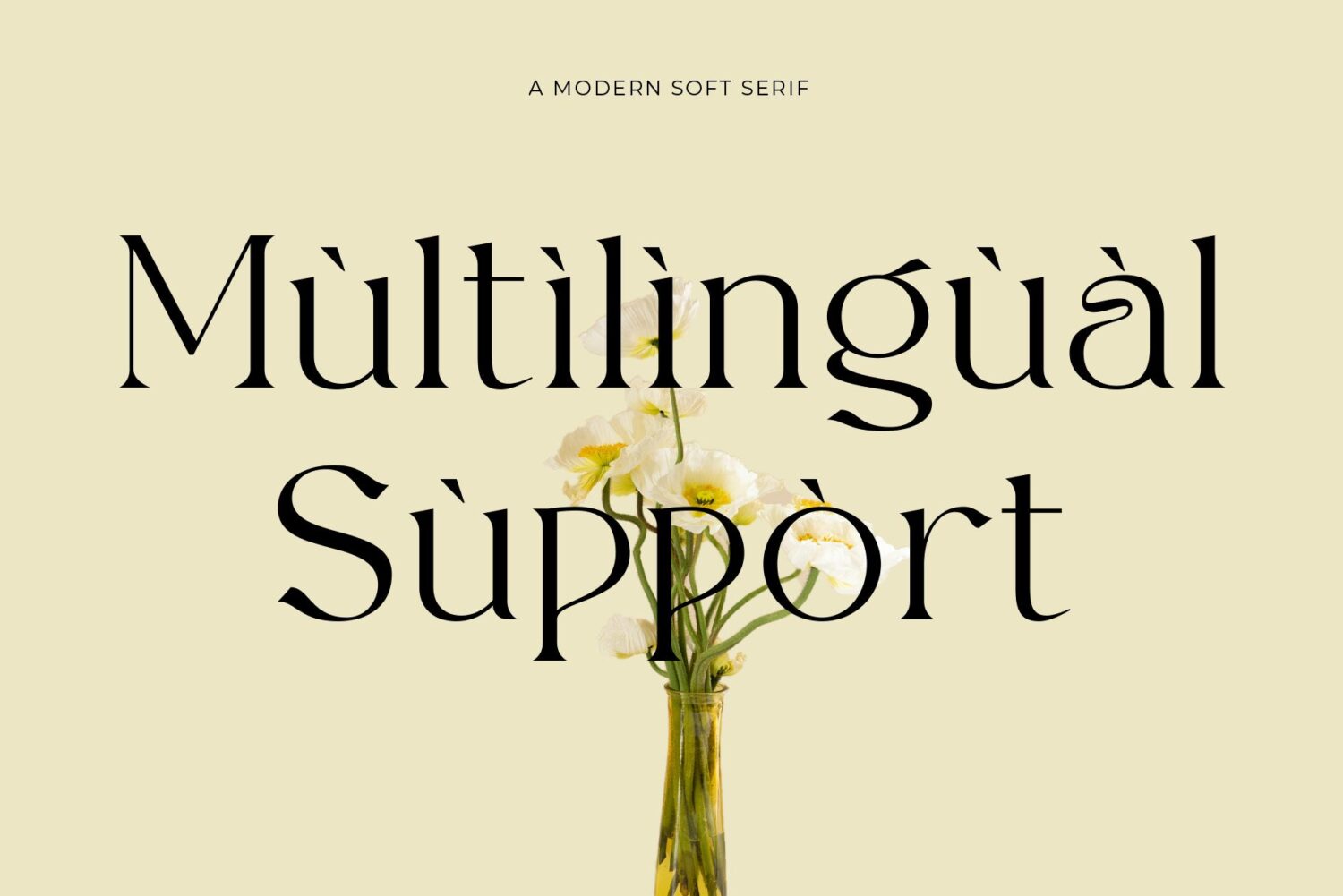 modern soft serif font