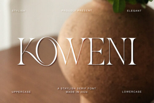 Koweni - Stylish Serif Font