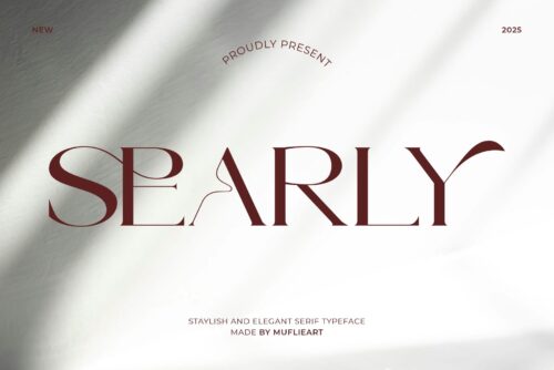 stylish elegant serif