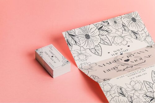 stylish elegant serif
