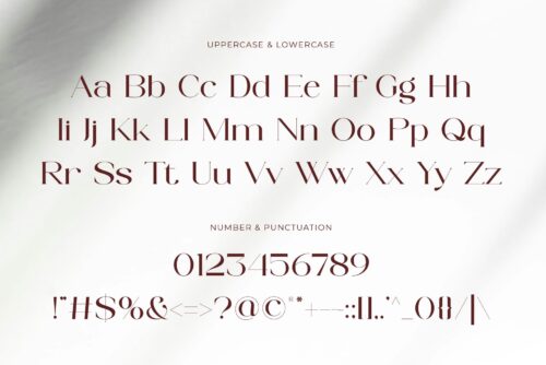 stylish elegant serif